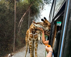 Квай Сафари двухдневная экскурсия из Паттайи - фото 84