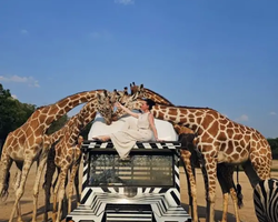 Квай Сафари двухдневная экскурсия из Паттайи - фото 89