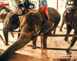 Квай Сафари двухдневная экскурсия из Паттайи - фото 72