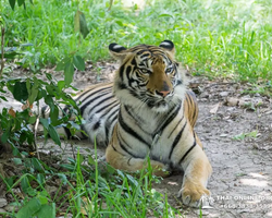 Квай Сафари экскурсия 2 дня из Паттайи - фото тура 54