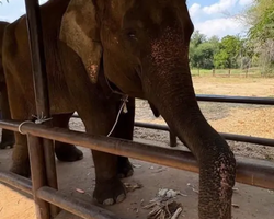 Квай Сафари экскурсия 2 дня из Паттайи - фото тура 26