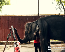 Квай Сафари двухдневная экскурсия из Паттайи - фото 68