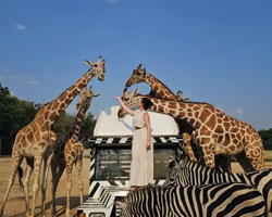 Квай Сафари двухдневная экскурсия из Паттайи - фото 88