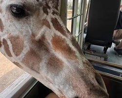 Квай Сафари экскурсия 2 дня из Паттайи - фото тура 34