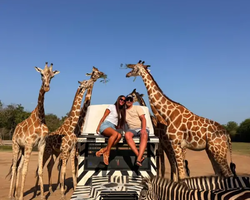 Квай Сафари двухдневная экскурсия из Паттайи - фото 86