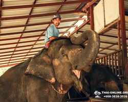 Квай Сафари экскурсия 2 дня из Паттайи - фото тура 13