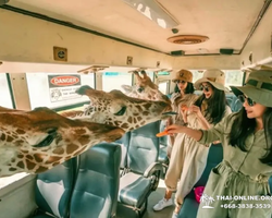 Квай Сафари экскурсия 2 дня из Паттайи - фото тура 56