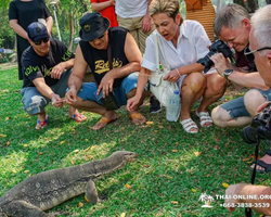 Топ Бангкок экскурсия из Паттайи в Таиланде - фото 137