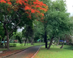 Топ Бангкок экскурсия из Паттайи в Таиланде - фото 161