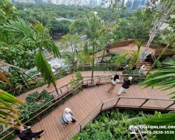 Топ Бангкок экскурсия из Паттайи в Таиланде - фото 138