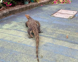 Топ Бангкок экскурсия из Паттайи в Таиланде - фото 136