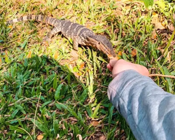 Топ Бангкок экскурсия из Паттайи в Таиланде - фото 135