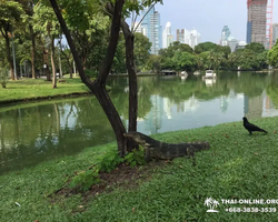 Топ Бангкок экскурсия из Паттайи в Таиланде - фото 153