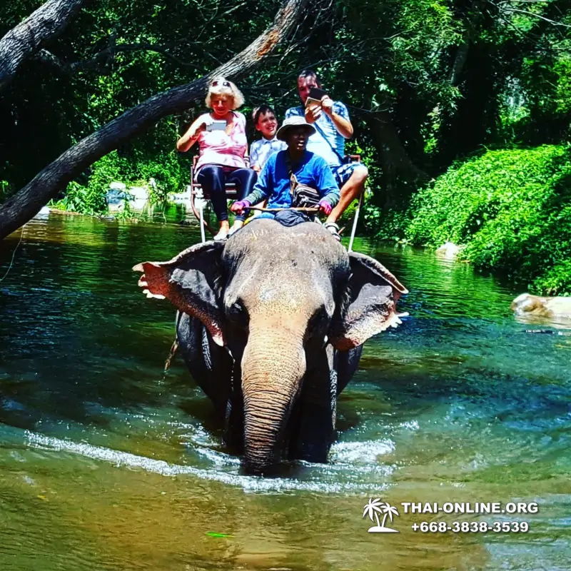 Кхао Яй Джунгли Зовут экскурсия 7 Countries Паттайя Таиланд фото 145