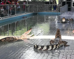 Крокодиловая ферма в Паттайе Тайланд Seven Countries - фото 98