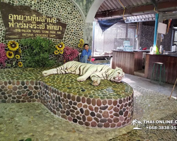 Шоу крокодилов Паттайя, Таиланд фото Thai-Online 9