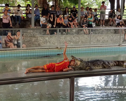 Шоу крокодилов Паттайя Таиланд фото Thai-Online 45