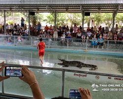Шоу крокодилов Паттайя, Таиланд Seven Countries - фото 102