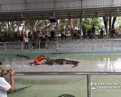 Шоу крокодилов Паттайя, Таиланд Seven Countries - фото 123