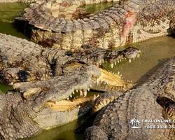 Крокодиловая ферма в Паттайе Тайланд Seven Countries - фото 90