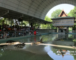 Крокодиловая ферма в Паттайе Тайланд Seven Countries - фото 120