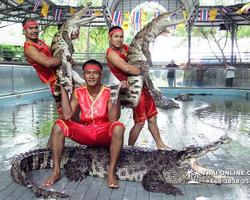 Шоу крокодилов Паттайя, Таиланд фото Thai-Online 16