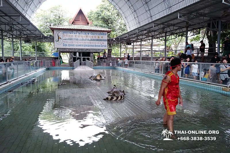 Шоу крокодилов Паттайя, Таиланд Seven Countries - фото 94