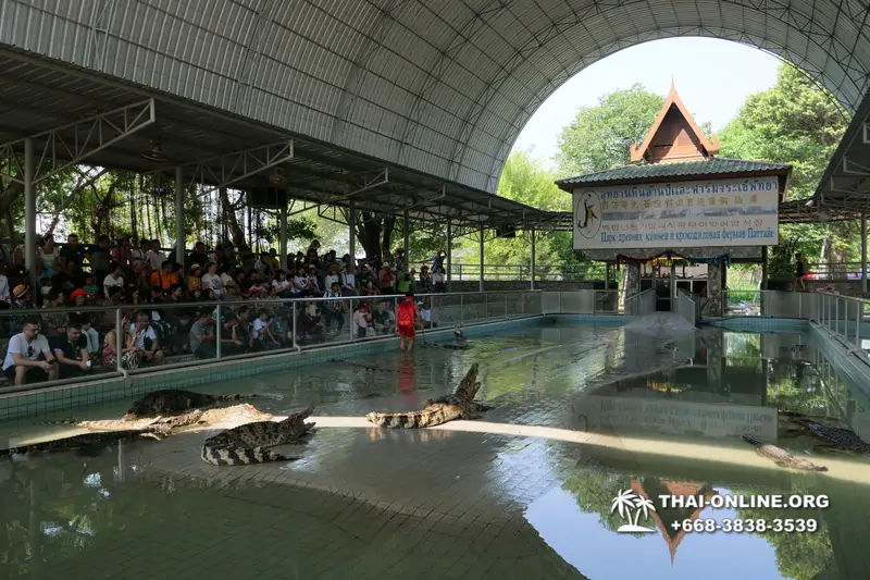 Крокодиловая ферма в Паттайе Тайланд Seven Countries - фото 120