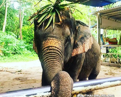 Зоопарк Кхао Кхео Тайланд экскурсия Seven Countries Паттайя фото 139