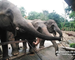 Зоопарк Кхао Кхео Тайланд экскурсия Seven Countries Паттайя фото 397