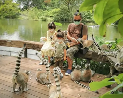 Сафари-парк Кхао Кхео в Тайланде тур 7 Кантрис Паттайя - фото 261