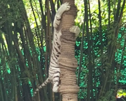 Зоопарк Кхао Кхео Тайланд экскурсия Seven Countries Паттайя фото 385