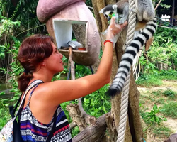 Зоопарк Кхао Кхео Тайланд экскурсия Seven Countries Паттайя фото 166