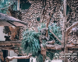 Зоопарк Кхао Кхео Тайланд экскурсия Seven Countries Паттайя фото 167