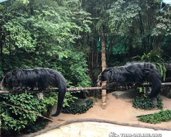 Зоопарк Кхао Кхео Тайланд экскурсия Seven Countries Паттайя фото 173