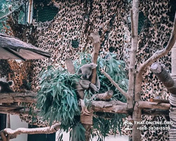 Зоопарк Кхао Кхео Тайланд экскурсия Seven Countries Паттайя фото 165