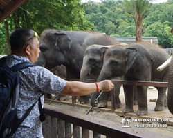 Сафари-парк Кхао Кхео в Тайланде тур 7 Кантрис Паттайя - фото 238
