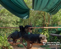 Зоопарк Кхао Кхео Тайланд экскурсия Seven Countries Паттайя фото 374