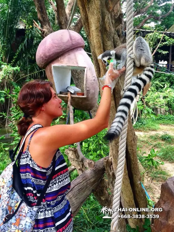 Зоопарк Кхао Кхео Тайланд экскурсия Seven Countries Паттайя фото 166