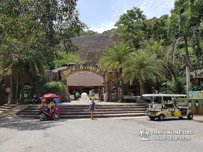 Зоопарк Кхао Кхео Тайланд экскурсия Seven Countries Паттайя фото 132
