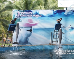 Дельфины купаться шоу поездка Таиланд фото Thai-Online 27