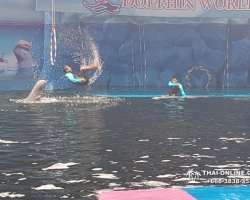 Дельфины купаться шоу поездка Seven Countries Паттайя Таиланд фото 147