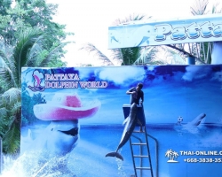 Дельфины купаться шоу поездка Таиланд фото Thai-Online 122