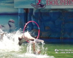 Дельфины купаться шоу поездка Seven Countries Паттайя Таиланд фото 185