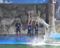 Дельфины купаться шоу поездка Seven Countries Паттайя Таиланд фото 118
