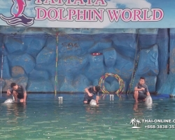 Дельфины купаться шоу поездка Seven Countries Паттайя Таиланд фото 163