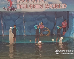 Дельфины купаться шоу поездка Seven Countries Паттайя Таиланд фото 198