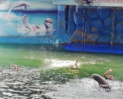 Дельфины купаться шоу поездка Таиланд фото 11