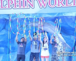 Дельфины купаться шоу поездка Таиланд фото Thai-Online 37