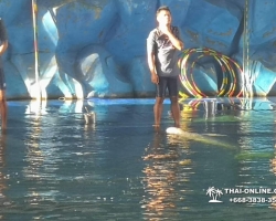 Дельфины купаться шоу поездка Seven Countries Паттайя Таиланд фото 96